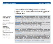 经内镜内入路夹闭的前交通动脉瘤:技术说明