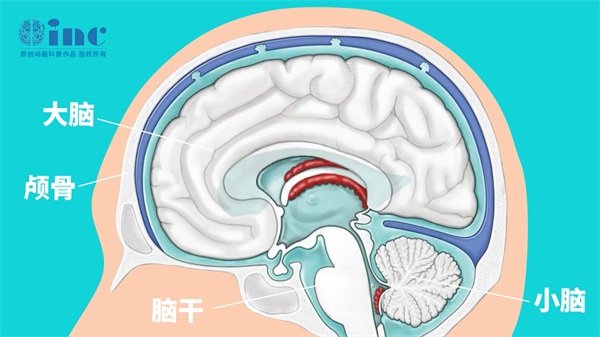 脑袋上长软骨瘤严重吗