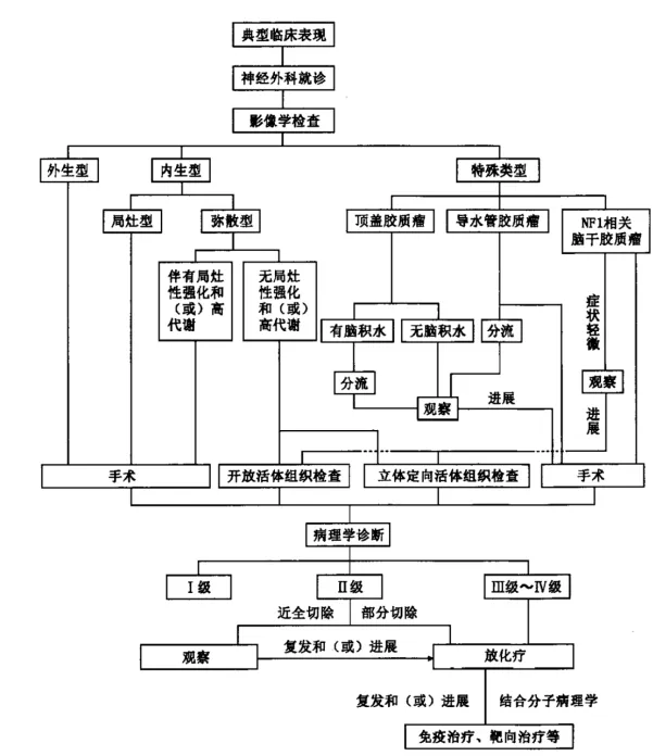 脑干胶质瘤咨询指南