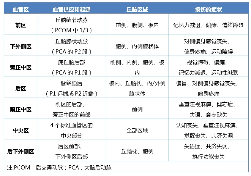 丘脑受损会导致