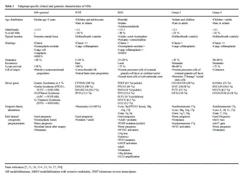 髓母细胞瘤的分型及治疗预后