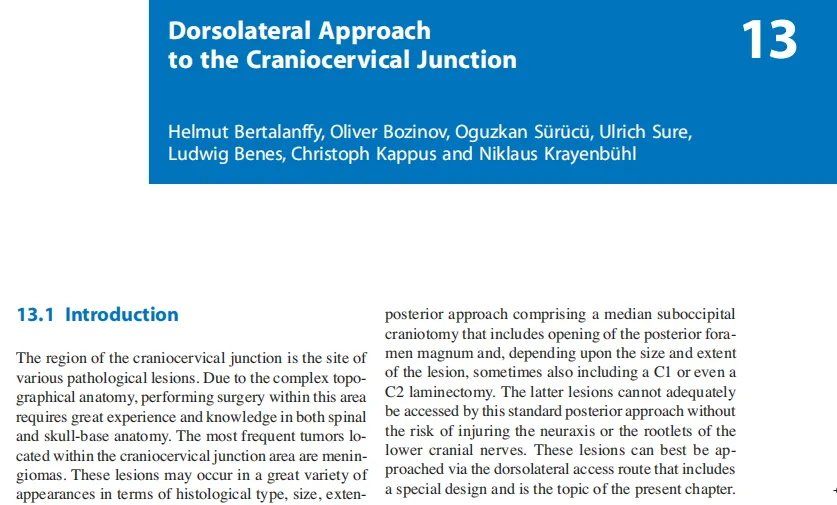 巴特朗菲教授在论文《Dorsolateral Approach to the Craniocervical Junction背外侧入路到颅颈交界》中深入分析了颅颈交界区的各类病变