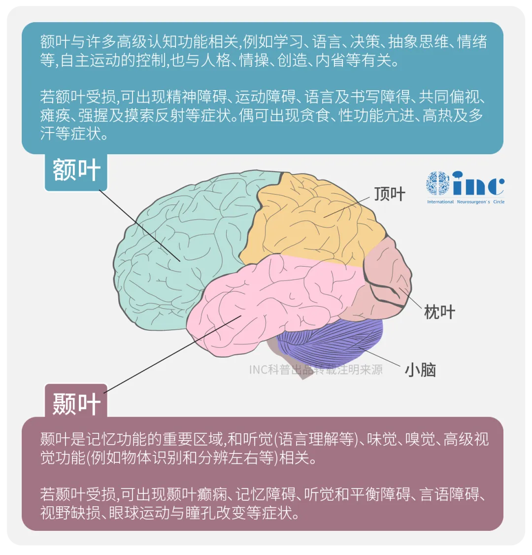 功能区