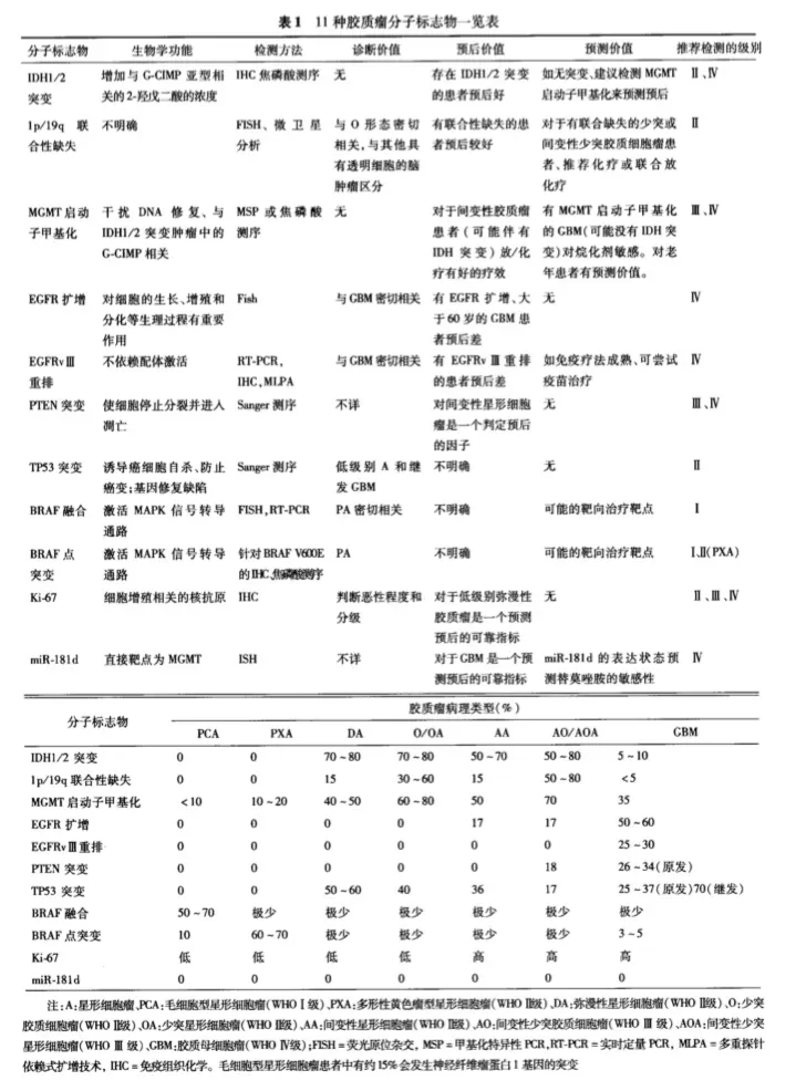 11种胶质瘤分子标记物一览