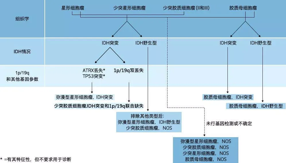 胶质瘤分子基因诊断图示