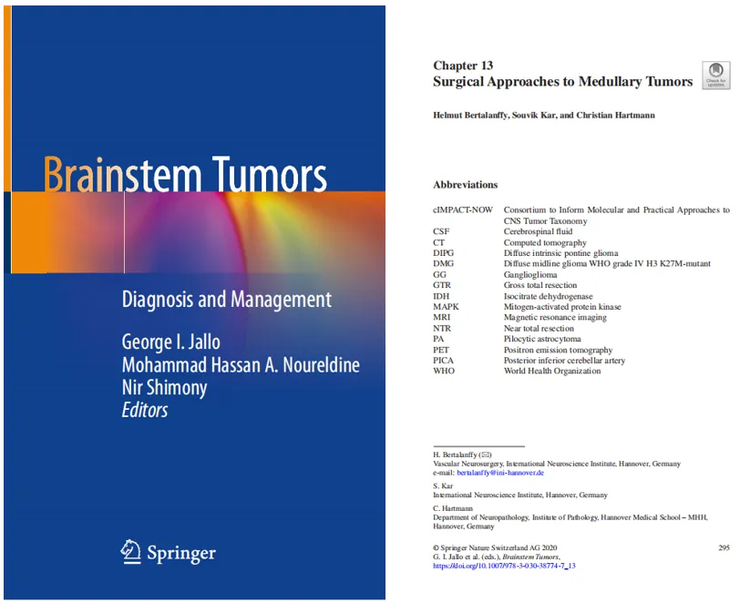 来自SpringerLink对该书的介绍，SpringerLink是国际知名的在线科学、技术和医学(STM)领域学术资源平台。