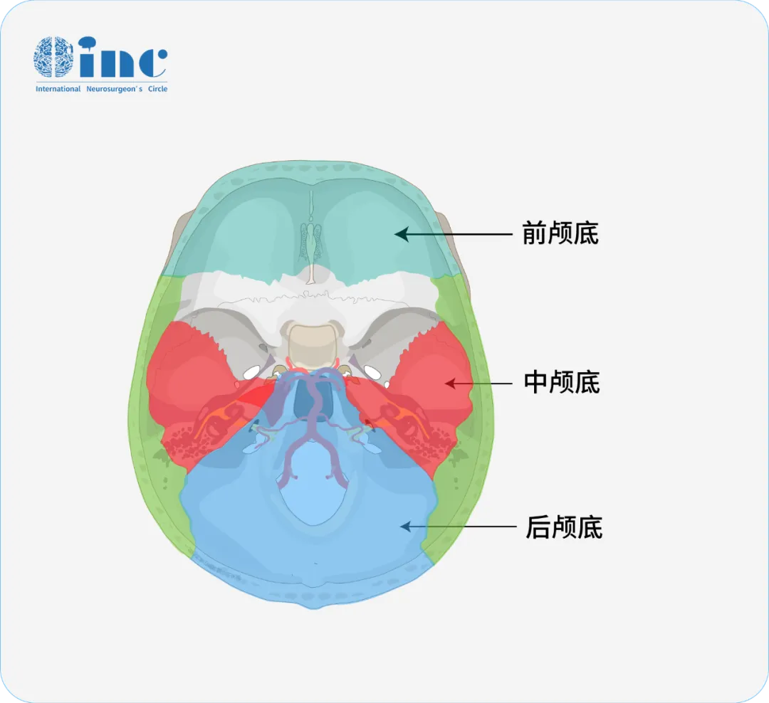 儿童髓母细胞瘤