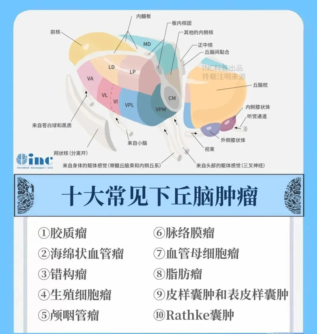 常见的下丘脑疾病