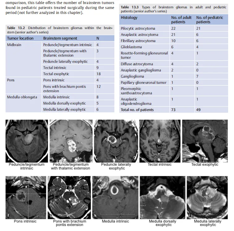 2020年新版的世界脑干手术专著《Surgery of the Brainstem》